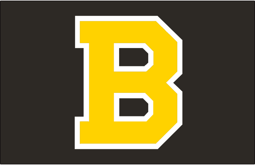 Boston Bruins 1948-1955 Jersey Logo fabric transfer